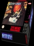 Nintendo  SNES&nbsp; - &nbsp;Cyber Spin (USA)